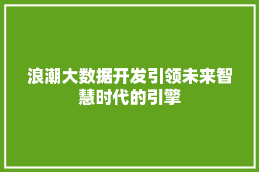 浪潮大数据开发引领未来智慧时代的引擎