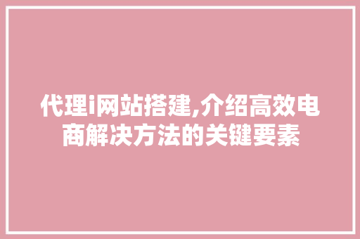 代理i网站搭建,介绍高效电商解决方法的关键要素