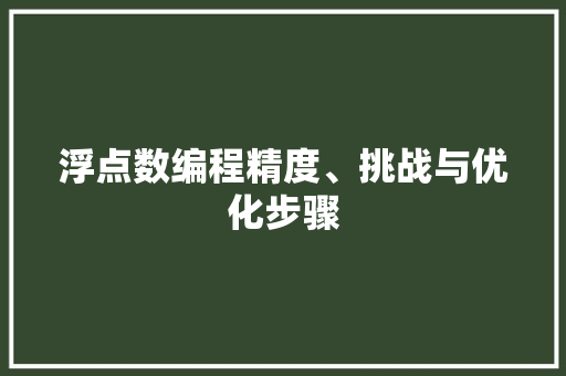 浮点数编程精度、挑战与优化步骤