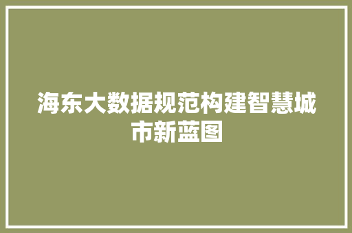 海东大数据规范构建智慧城市新蓝图
