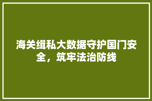 海关缉私大数据守护国门安全，筑牢法治防线