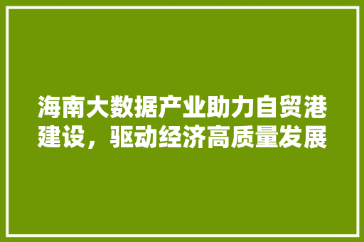海南大数据产业助力自贸港建设，驱动经济高质量发展