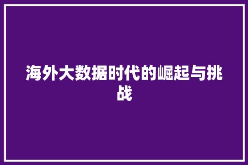 海外大数据时代的崛起与挑战