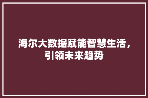 海尔大数据赋能智慧生活，引领未来趋势