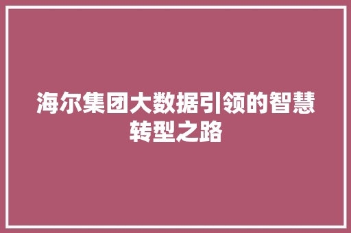 海尔集团大数据引领的智慧转型之路