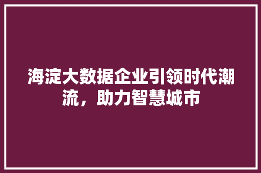 海淀大数据企业引领时代潮流，助力智慧城市