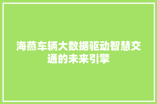 海燕车辆大数据驱动智慧交通的未来引擎