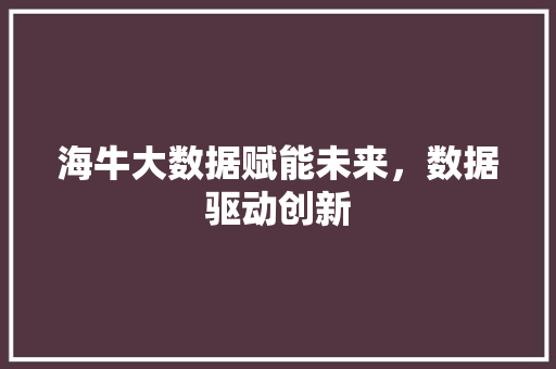 海牛大数据赋能未来，数据驱动创新