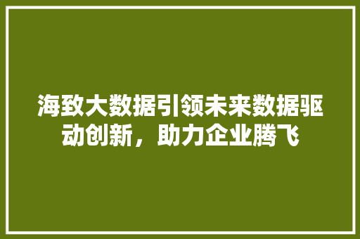 海致大数据引领未来数据驱动创新，助力企业腾飞