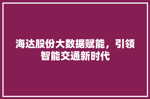 海达股份大数据赋能，引领智能交通新时代