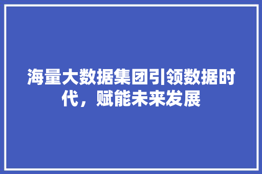 海量大数据集团引领数据时代，赋能未来发展