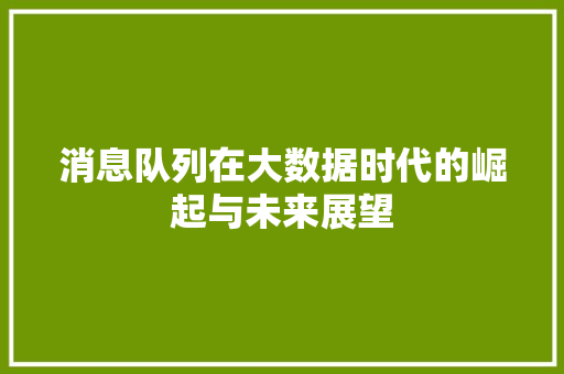 消息队列在大数据时代的崛起与未来展望