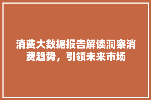 消费大数据报告解读洞察消费趋势，引领未来市场