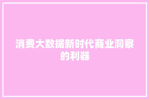 消费大数据新时代商业洞察的利器