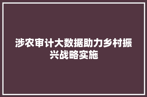 涉农审计大数据助力乡村振兴战略实施