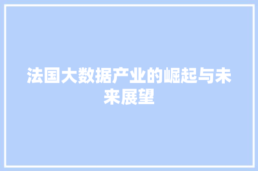 法国大数据产业的崛起与未来展望