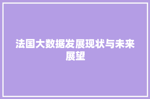 法国大数据发展现状与未来展望