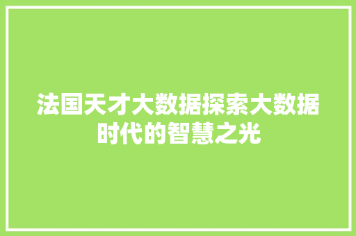 法国天才大数据探索大数据时代的智慧之光
