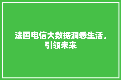法国电信大数据洞悉生活，引领未来