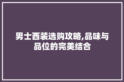 男士西装选购攻略,品味与品位的完美结合 缓存Redis