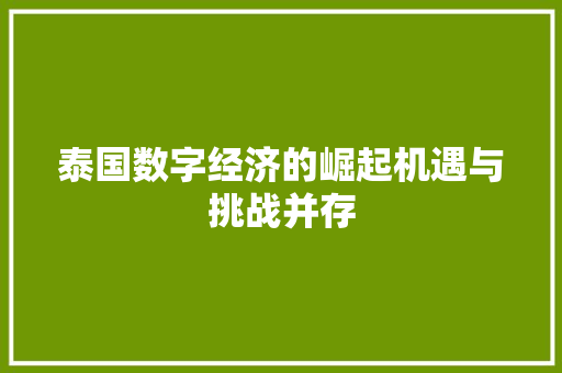 泰国数字经济的崛起机遇与挑战并存
