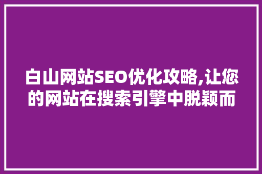 白山网站SEO优化攻略,让您的网站在搜索引擎中脱颖而出 项目报告