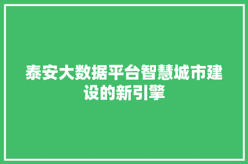 泰安大数据平台智慧城市建设的新引擎