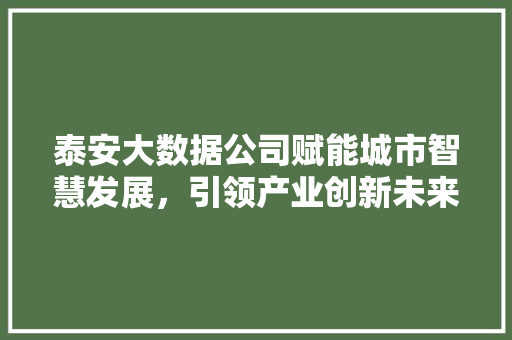 泰安大数据公司赋能城市智慧发展，引领产业创新未来