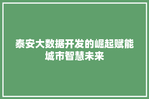 泰安大数据开发的崛起赋能城市智慧未来