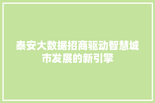 泰安大数据招商驱动智慧城市发展的新引擎