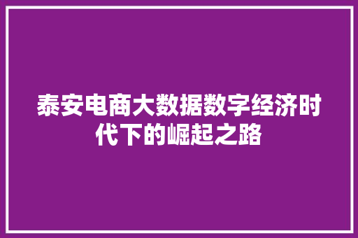 泰安电商大数据数字经济时代下的崛起之路