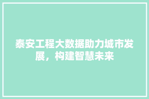 泰安工程大数据助力城市发展，构建智慧未来