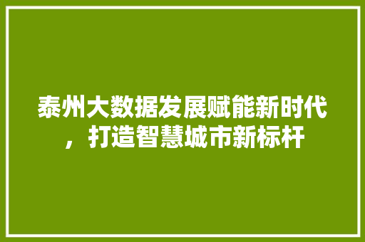 泰州大数据发展赋能新时代，打造智慧城市新标杆