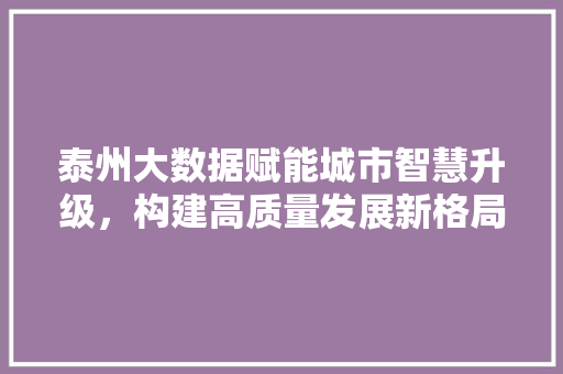 泰州大数据赋能城市智慧升级，构建高质量发展新格局