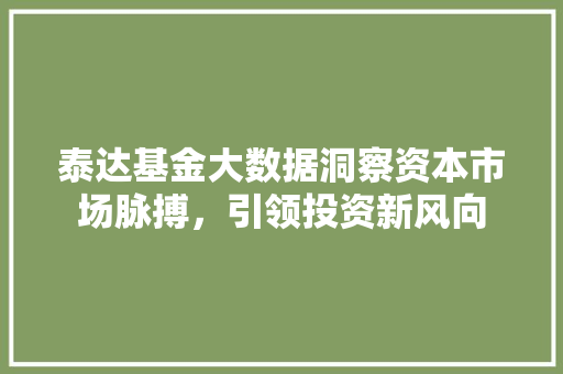 泰达基金大数据洞察资本市场脉搏，引领投资新风向
