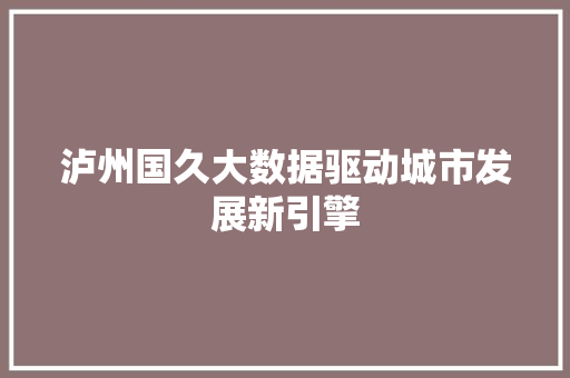 泸州国久大数据驱动城市发展新引擎