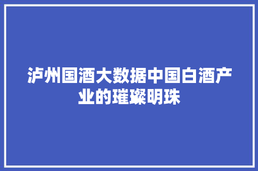泸州国酒大数据中国白酒产业的璀璨明珠