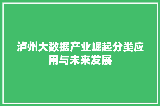 泸州大数据产业崛起分类应用与未来发展