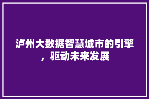 泸州大数据智慧城市的引擎，驱动未来发展