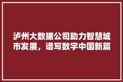 泸州大数据公司助力智慧城市发展，谱写数字中国新篇章