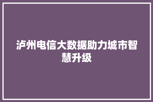 泸州电信大数据助力城市智慧升级