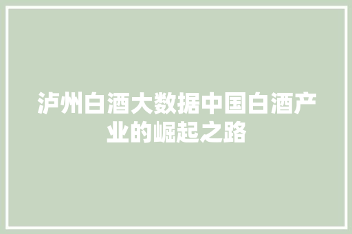 泸州白酒大数据中国白酒产业的崛起之路