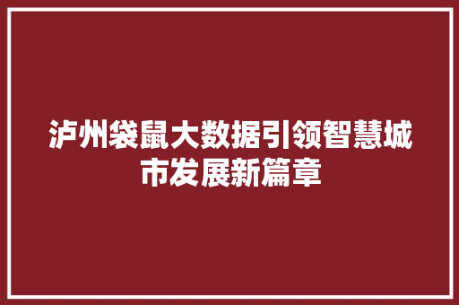 泸州袋鼠大数据引领智慧城市发展新篇章