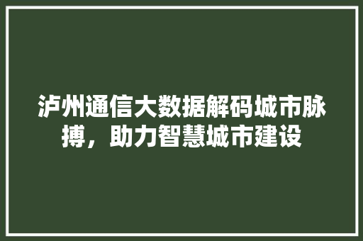 泸州通信大数据解码城市脉搏，助力智慧城市建设