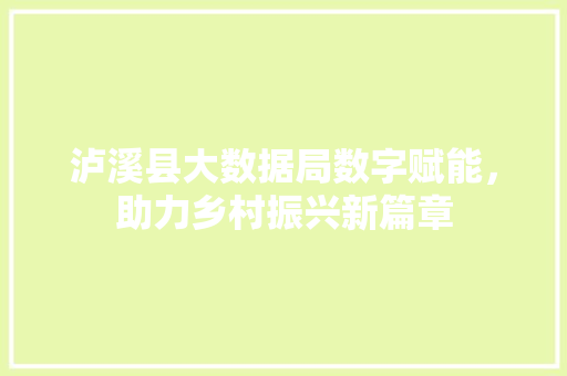 泸溪县大数据局数字赋能，助力乡村振兴新篇章
