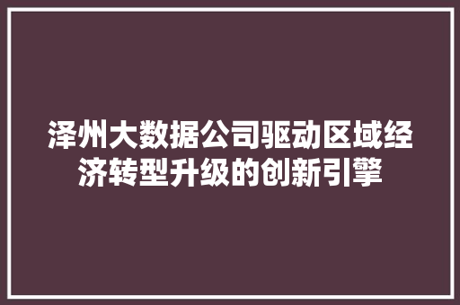 泽州大数据公司驱动区域经济转型升级的创新引擎