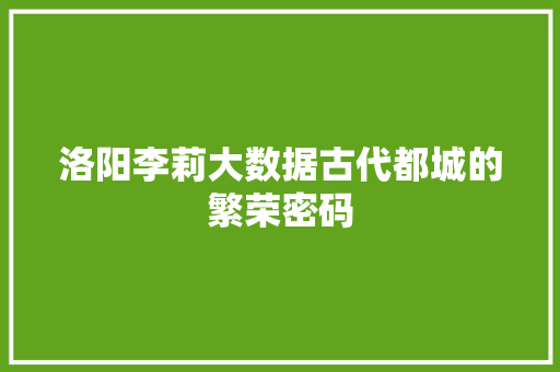 洛阳李莉大数据古代都城的繁荣密码