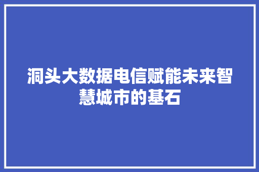 洞头大数据电信赋能未来智慧城市的基石