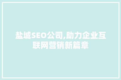 盐城SEO公司,助力企业互联网营销新篇章 项目报告