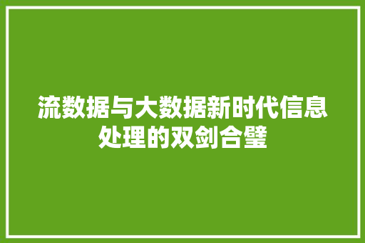 流数据与大数据新时代信息处理的双剑合璧